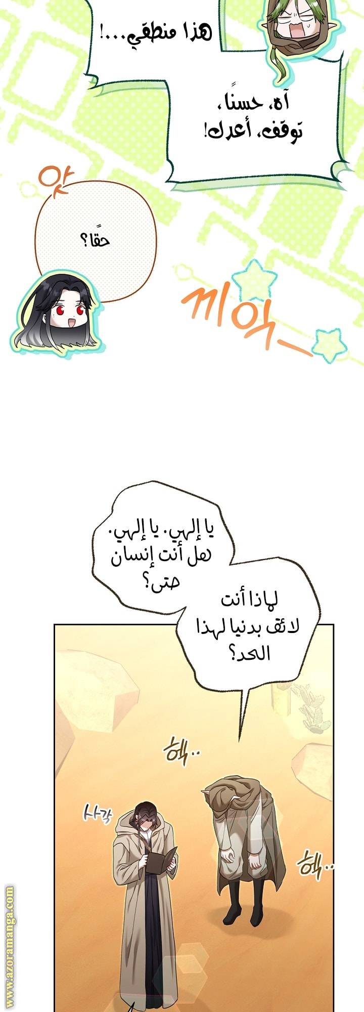الصفحة 41