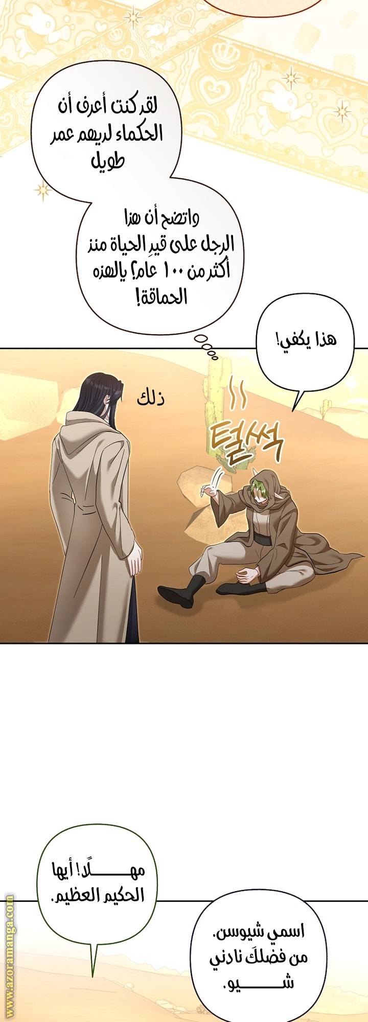 الصفحة 43