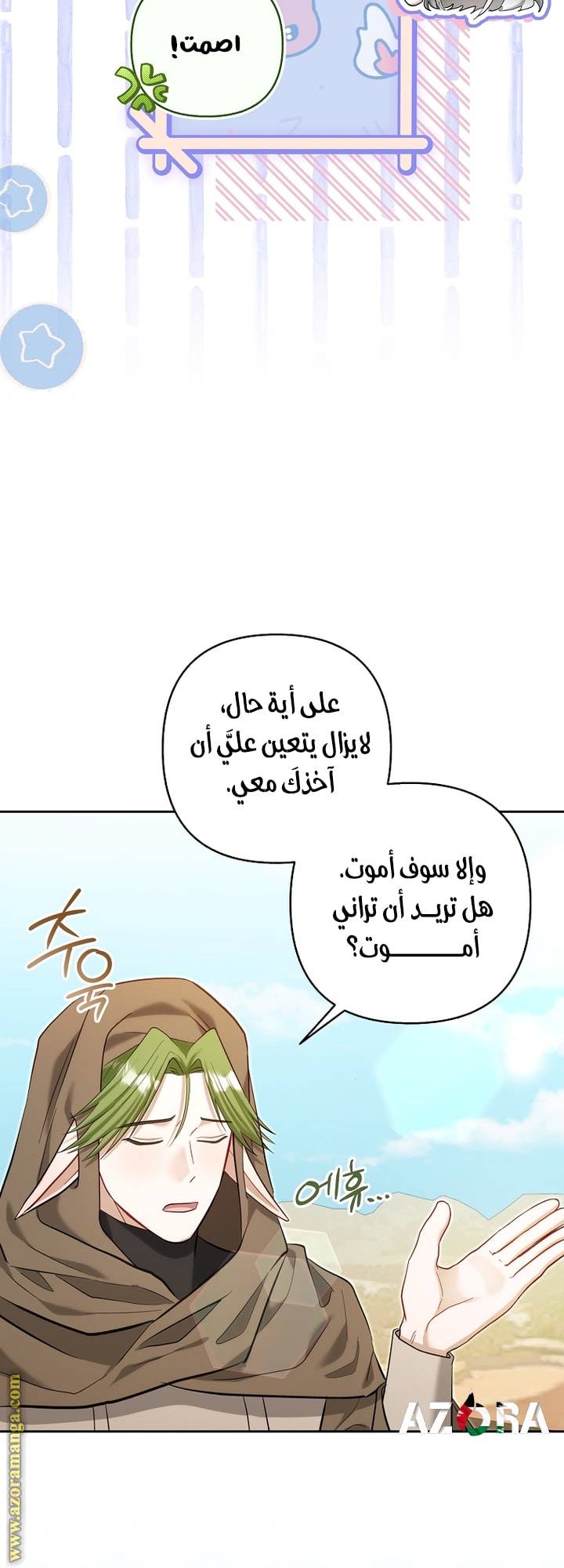 الصفحة 48