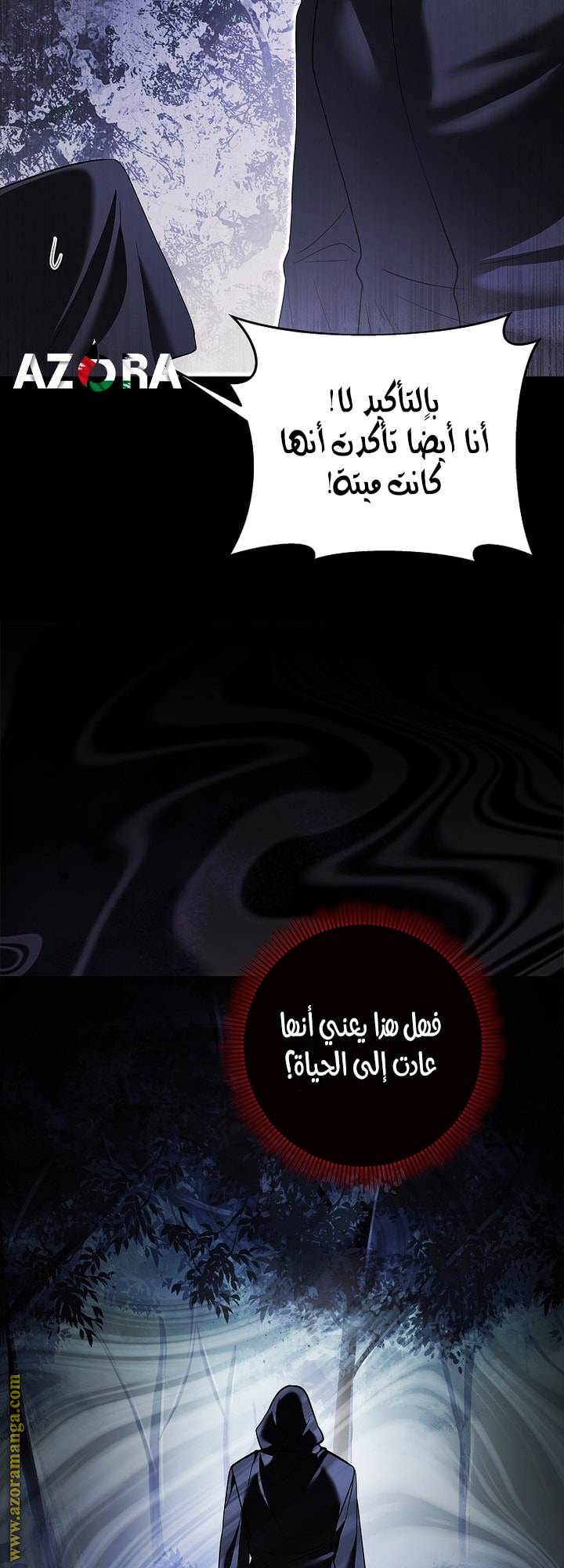 الصفحة 13