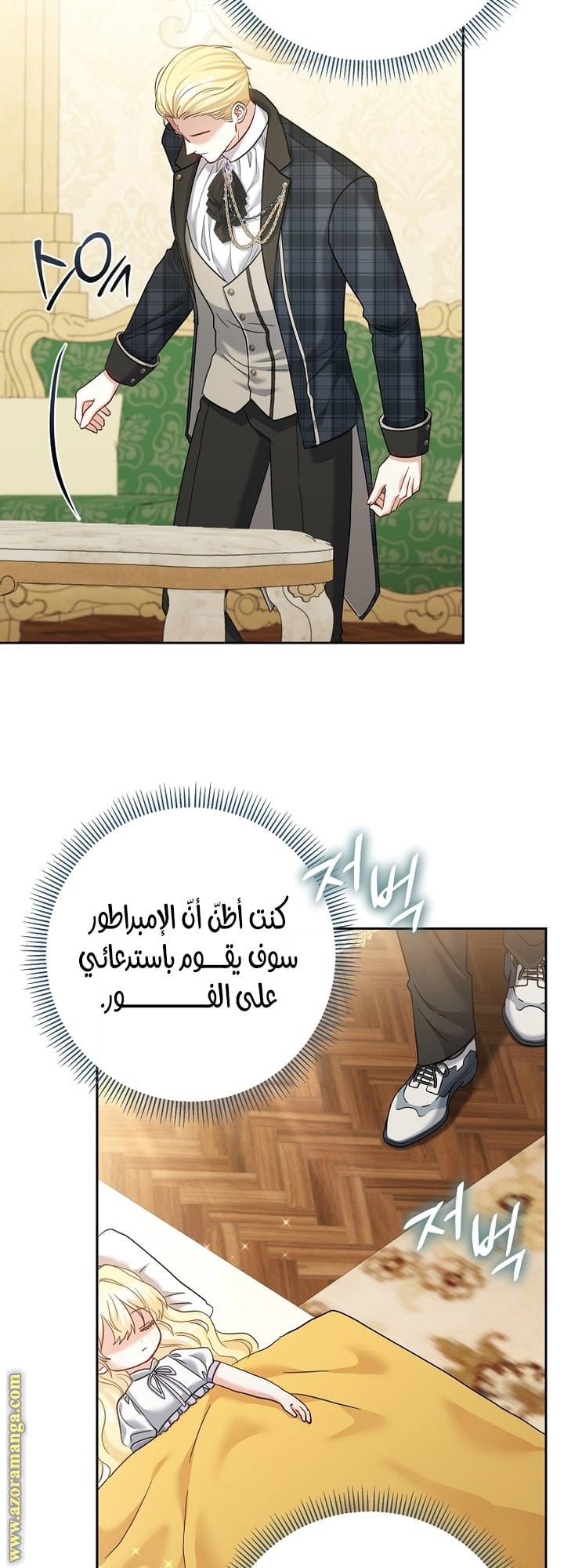 الصفحة 25