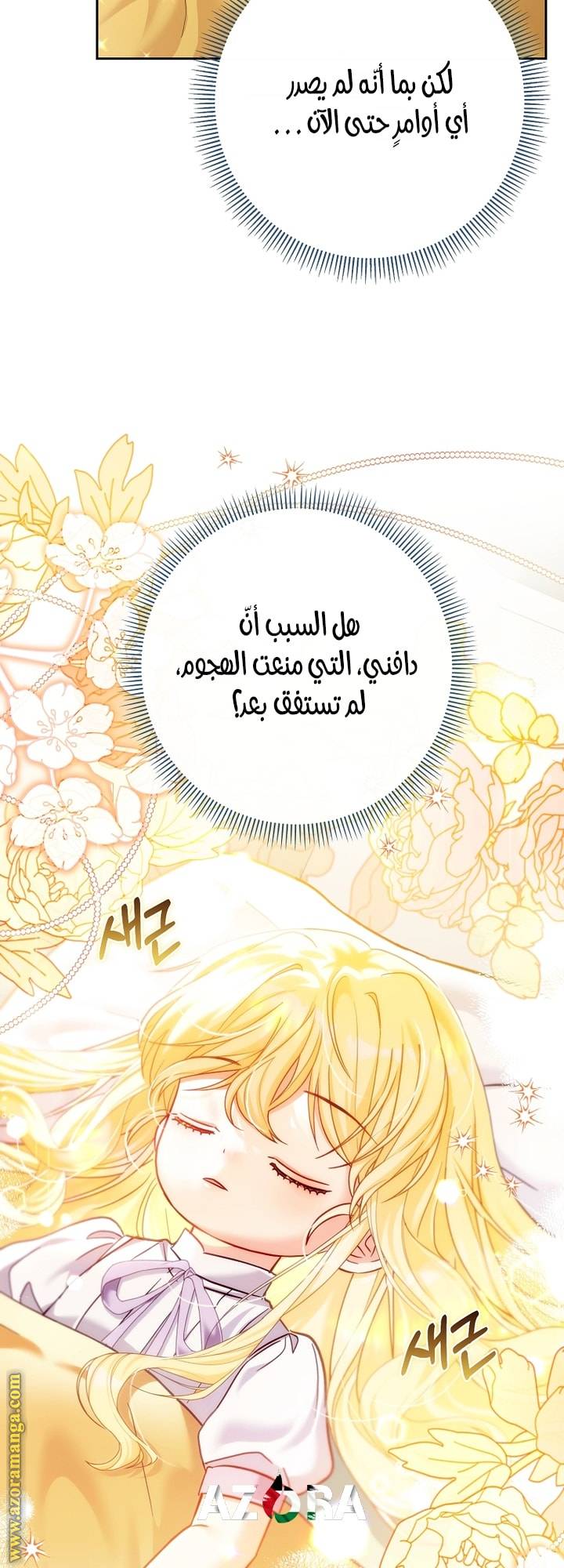الصفحة 26