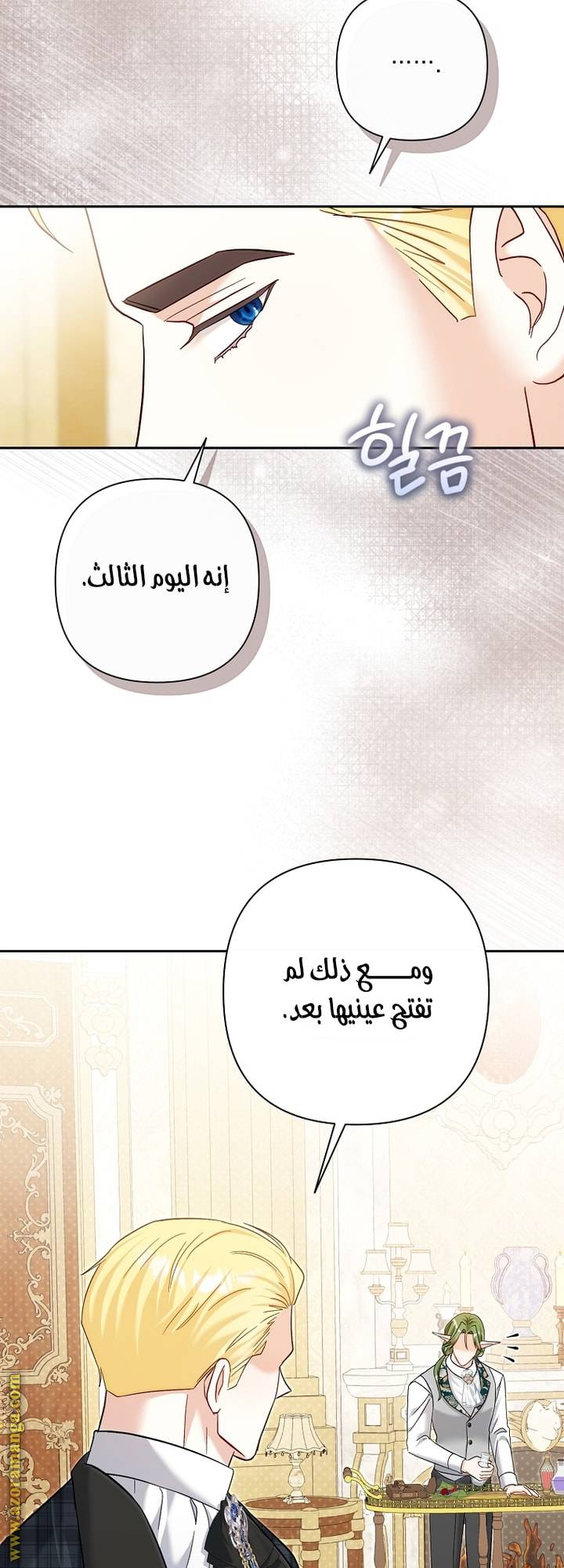 الصفحة 28