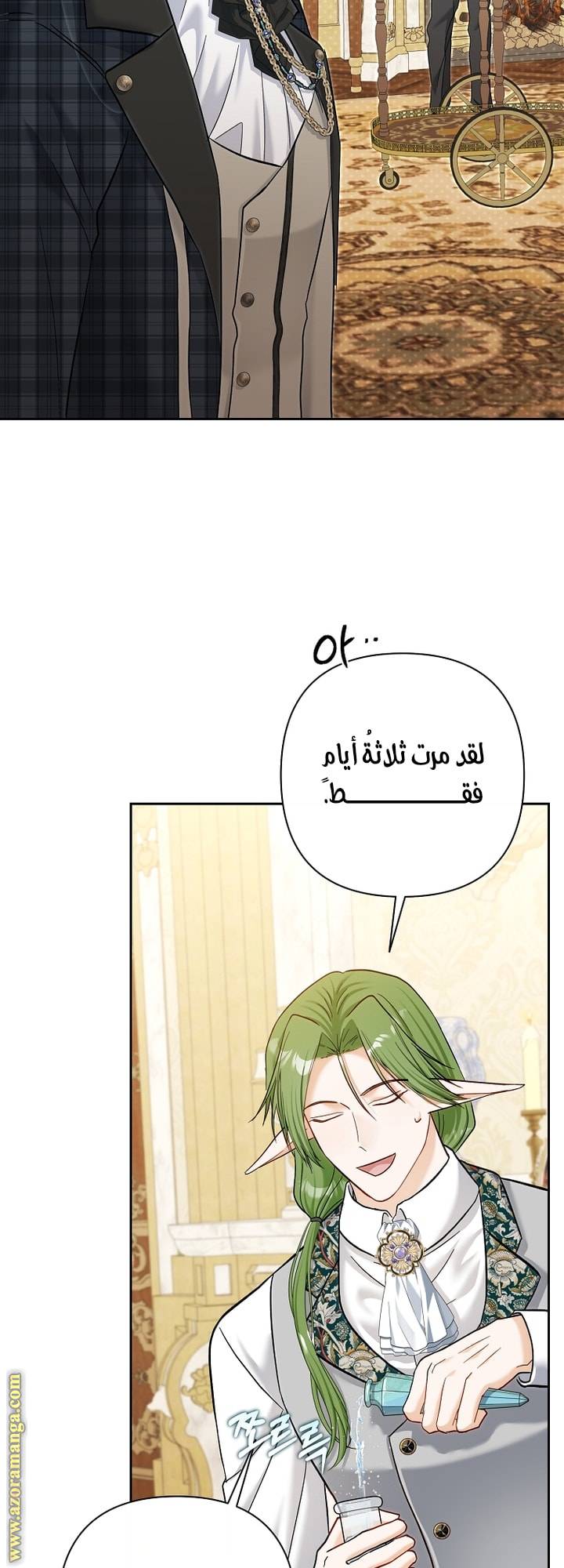 الصفحة 29