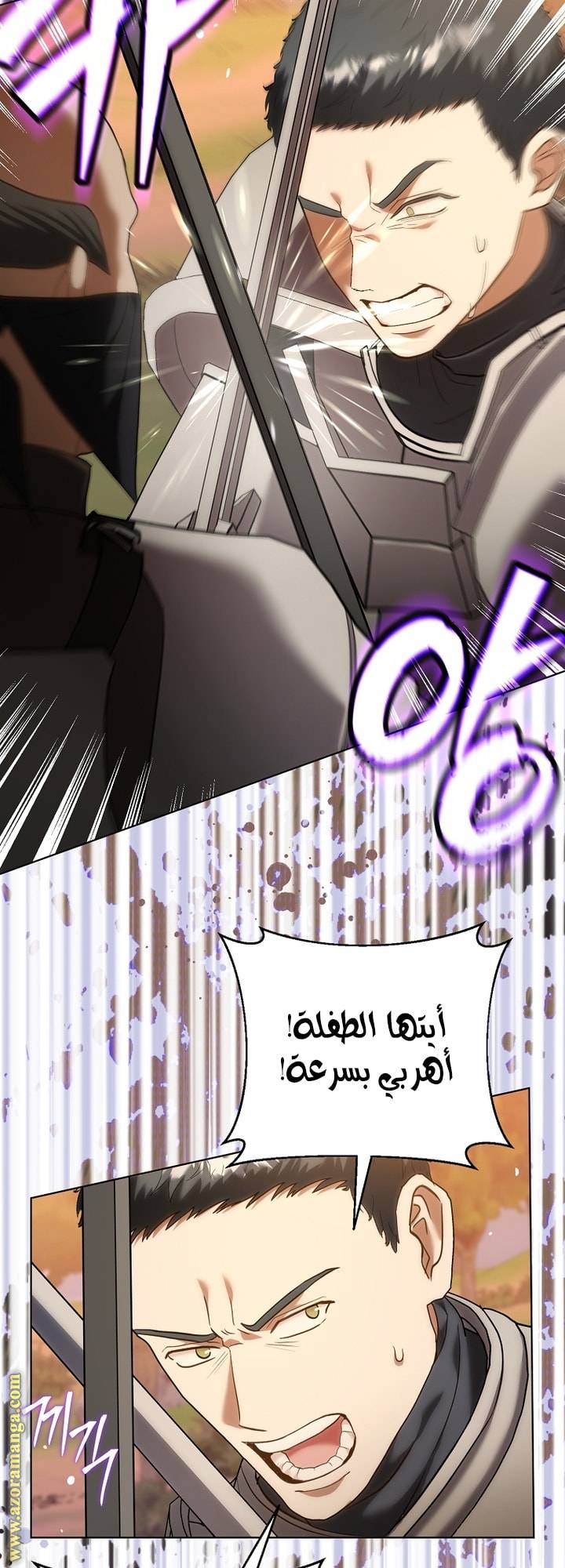 الصفحة 29