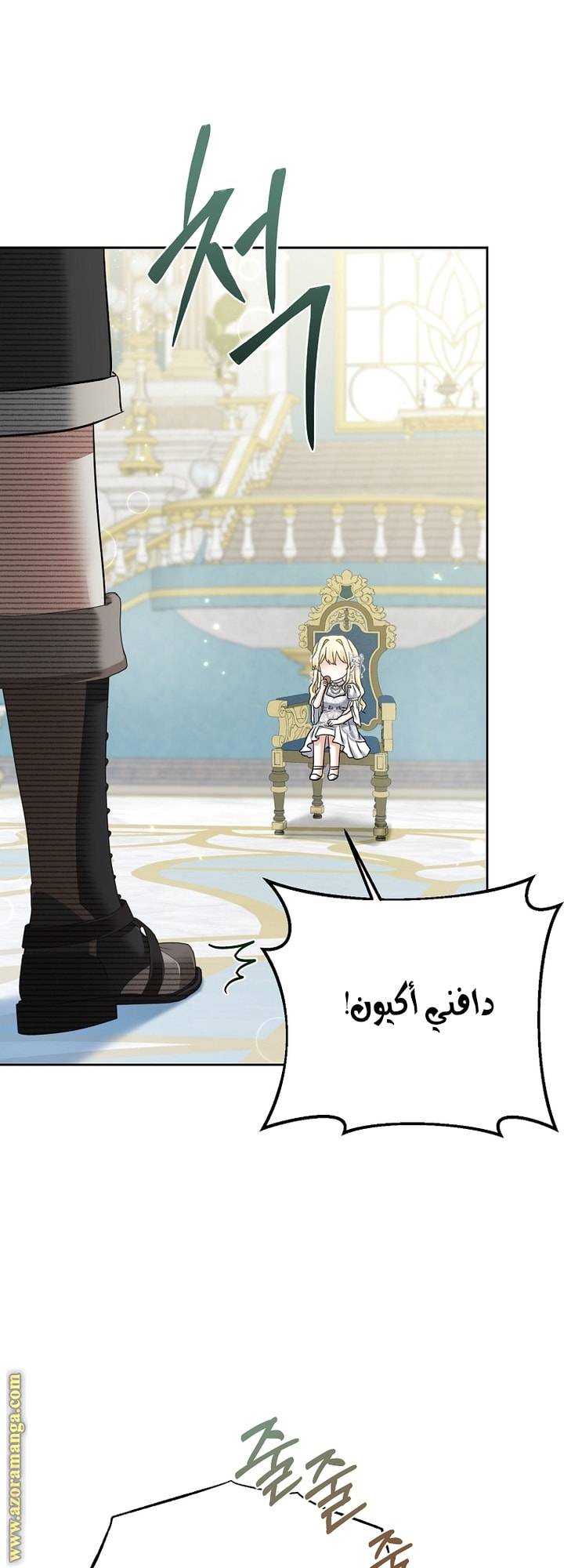 الصفحة 17