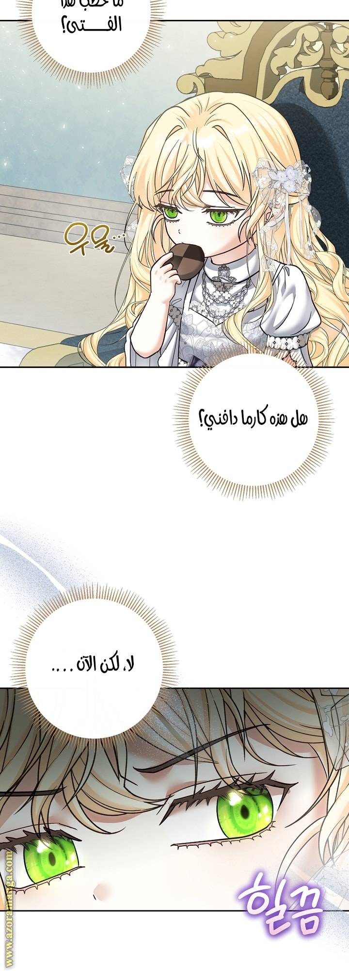 الصفحة 19