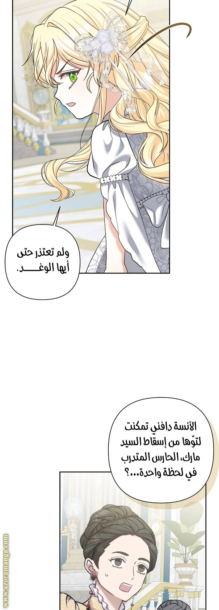 الصفحة 43