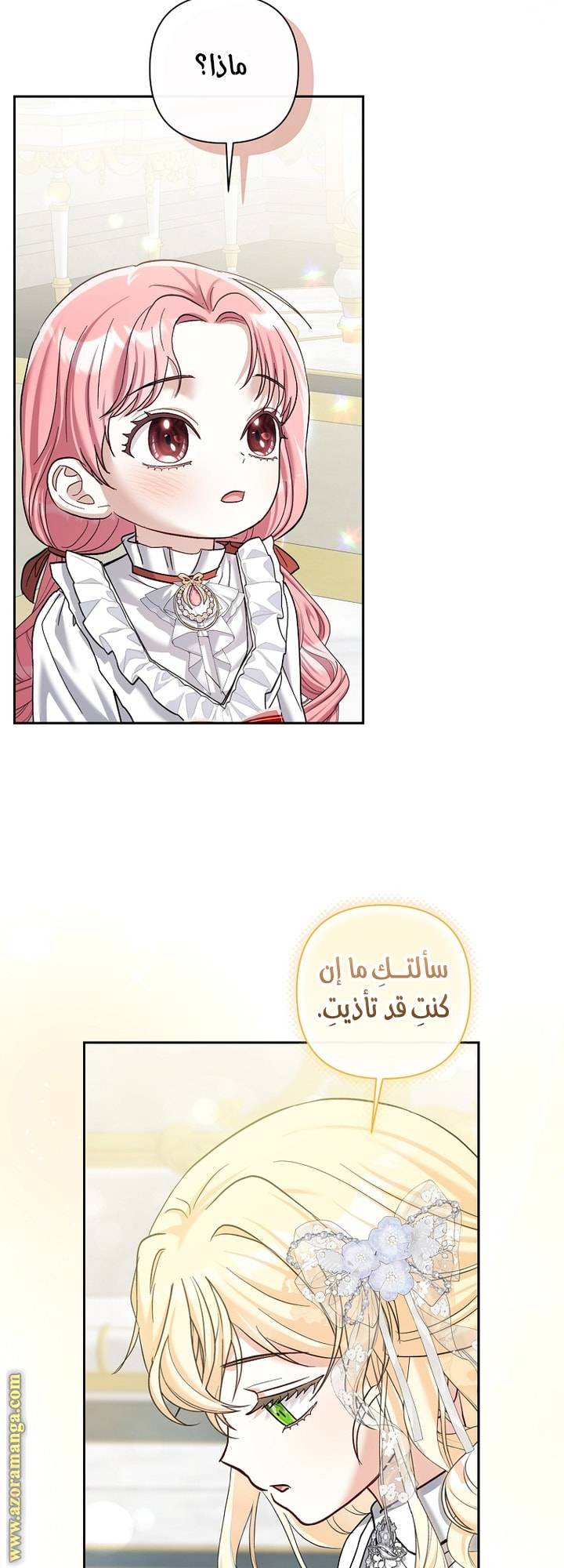 الصفحة 46