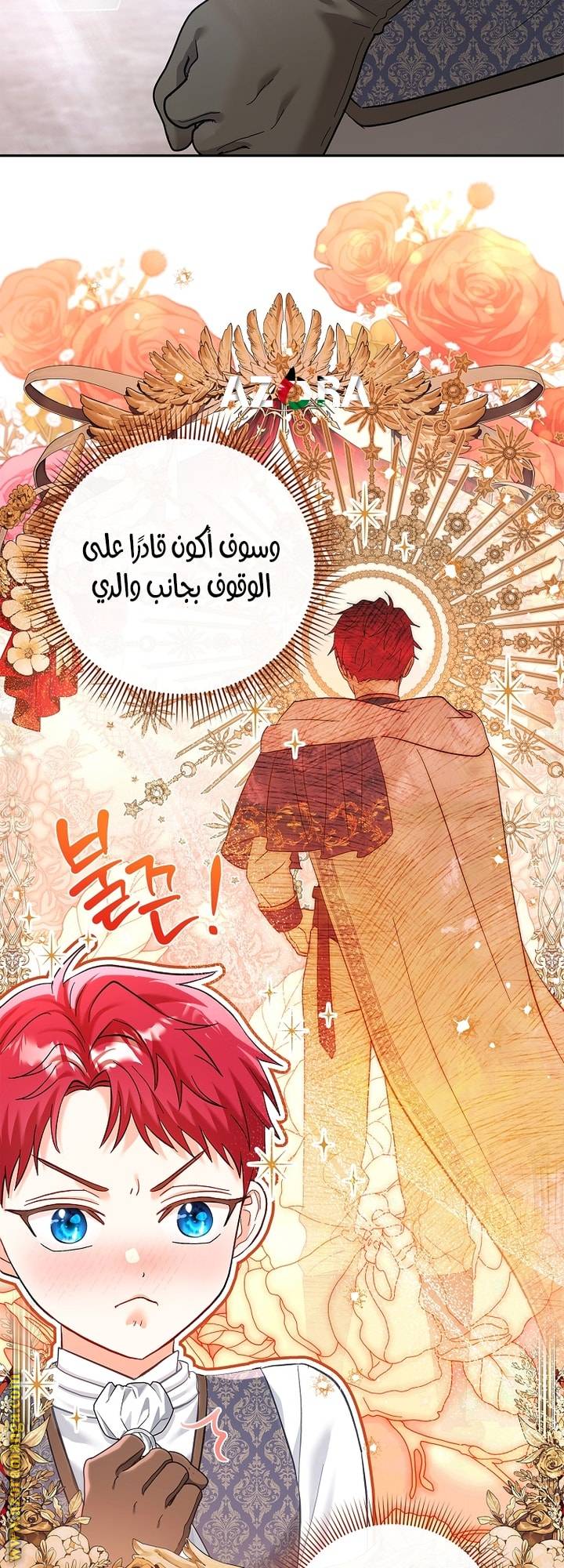 الصفحة 52