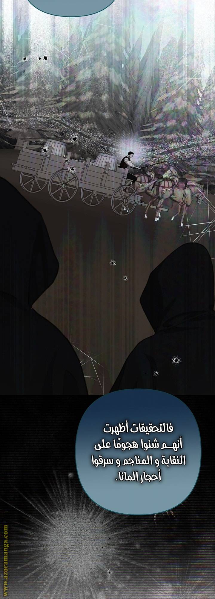 الصفحة 41