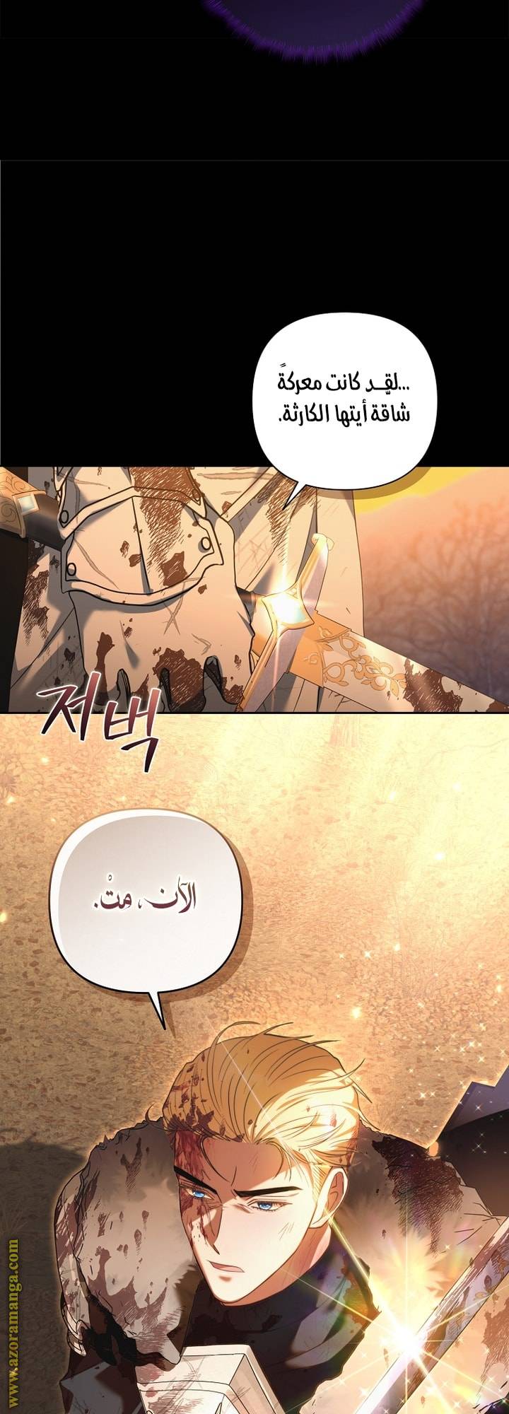الصفحة 21