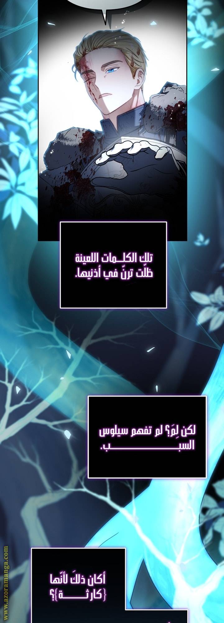 الصفحة 25