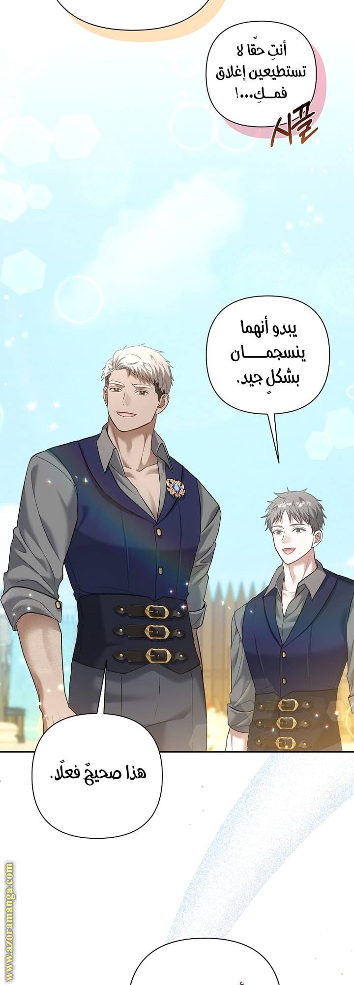 الصفحة 27
