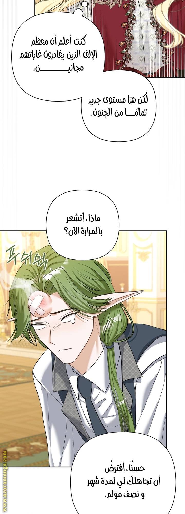 الصفحة 41