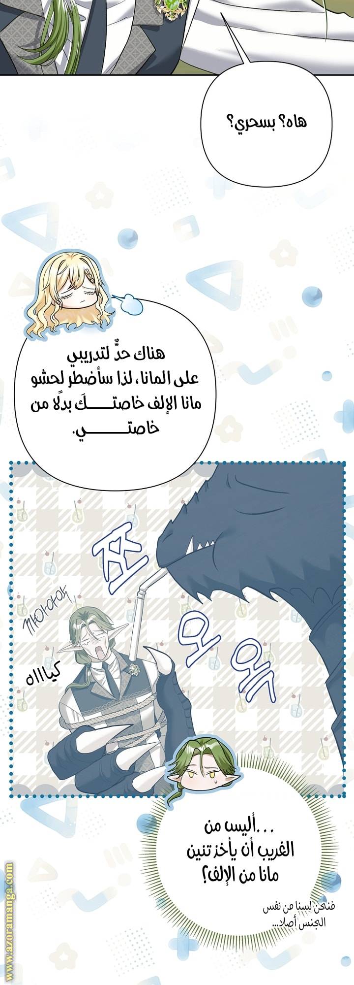 الصفحة 47