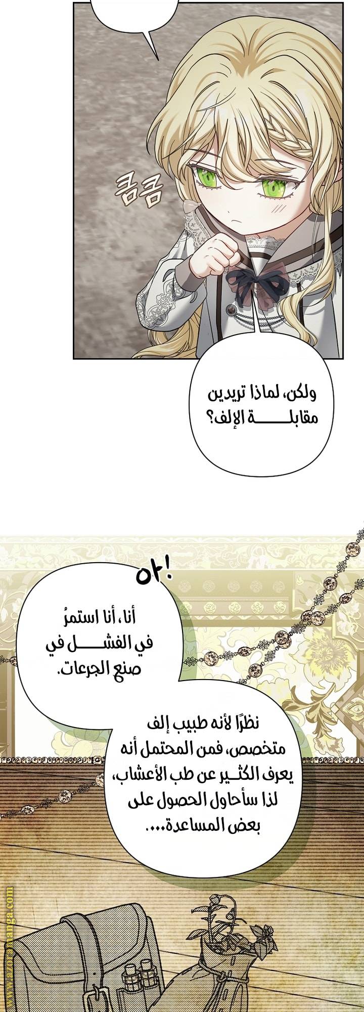 الصفحة 27