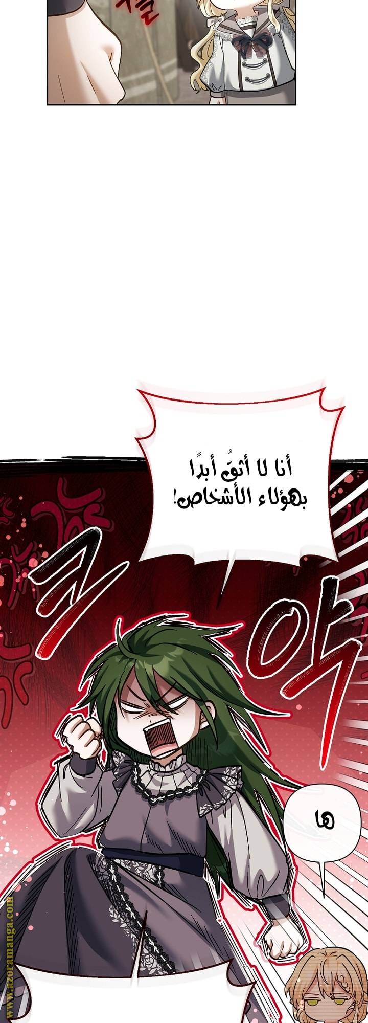 الصفحة 29