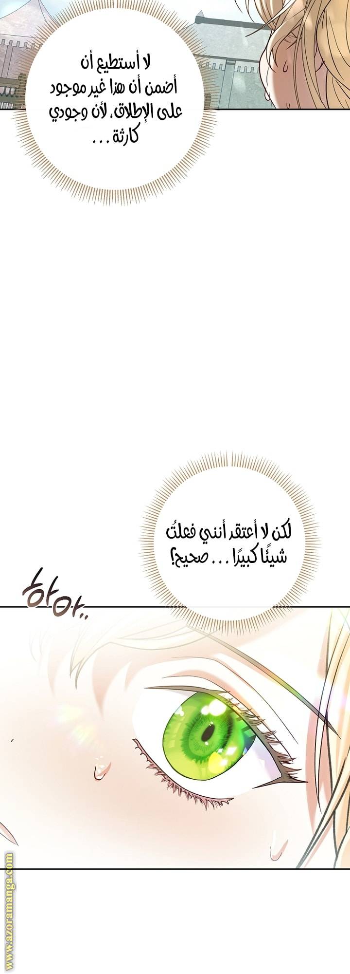 الصفحة 49