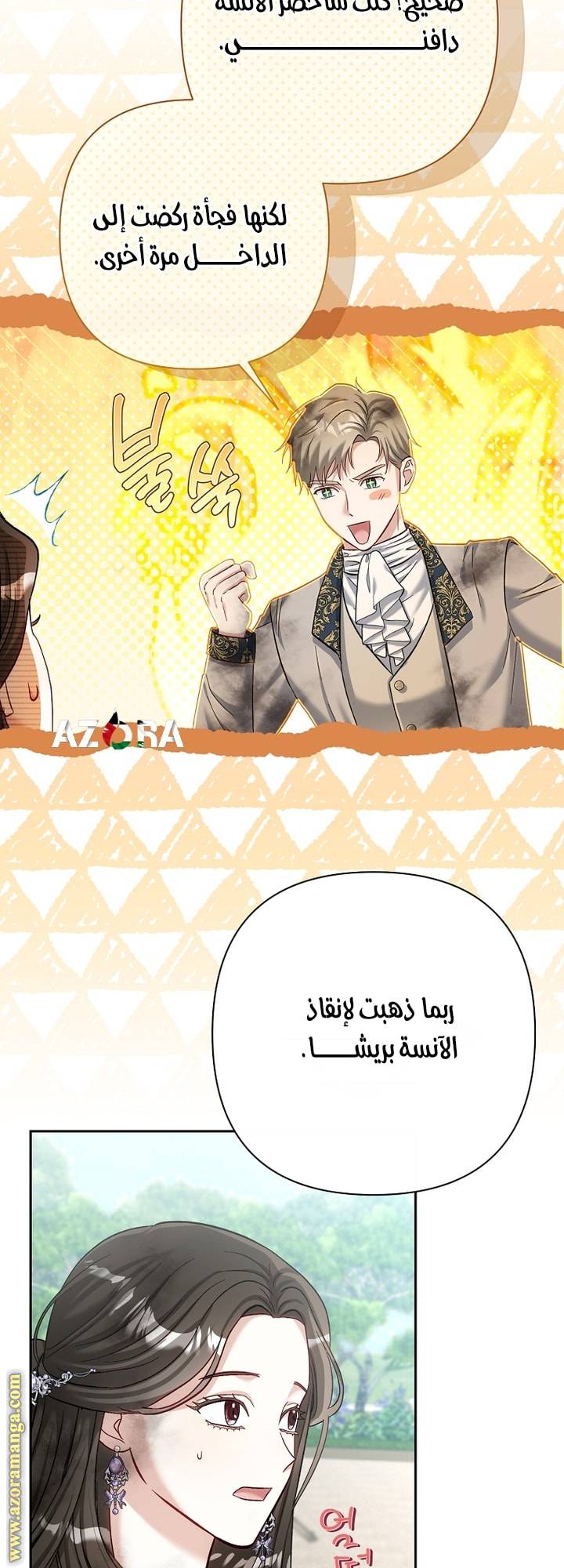 الصفحة 25