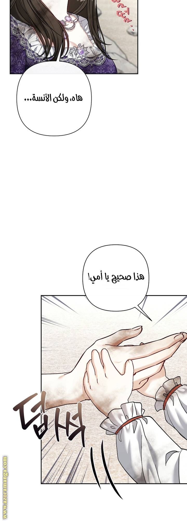 الصفحة 26