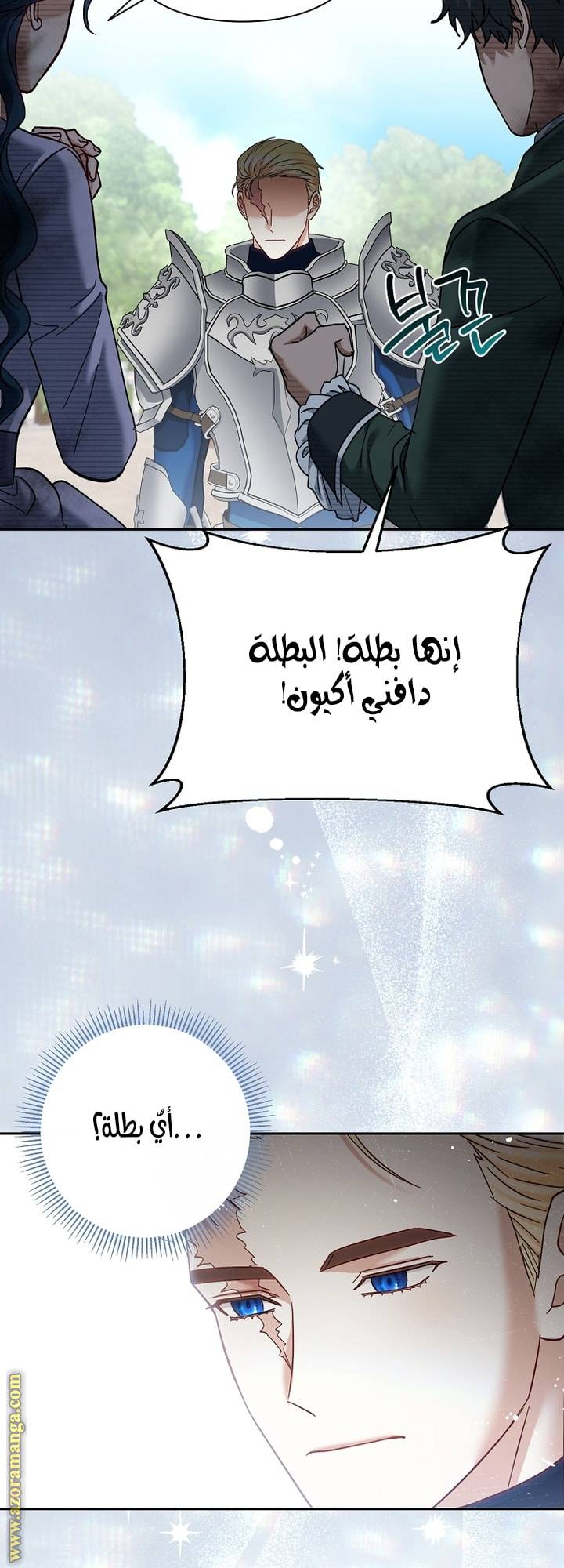 الصفحة 41