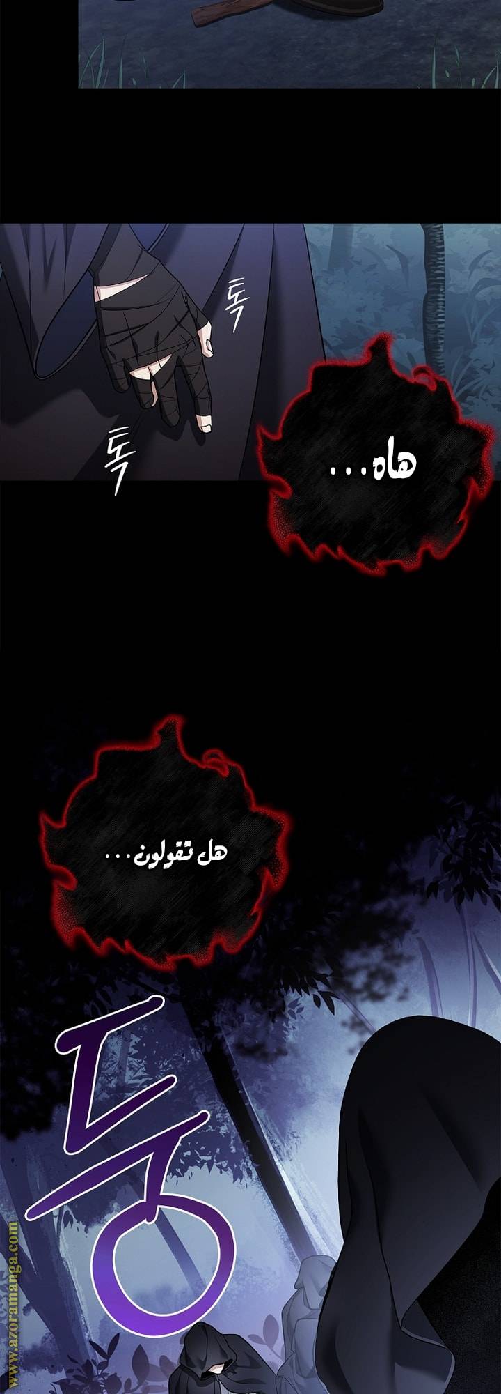 الصفحة 46