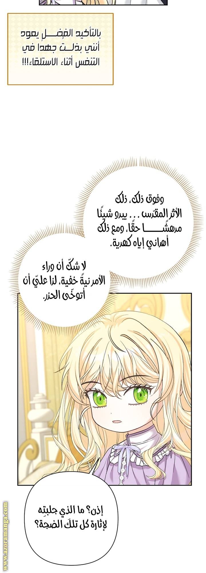 الصفحة 29