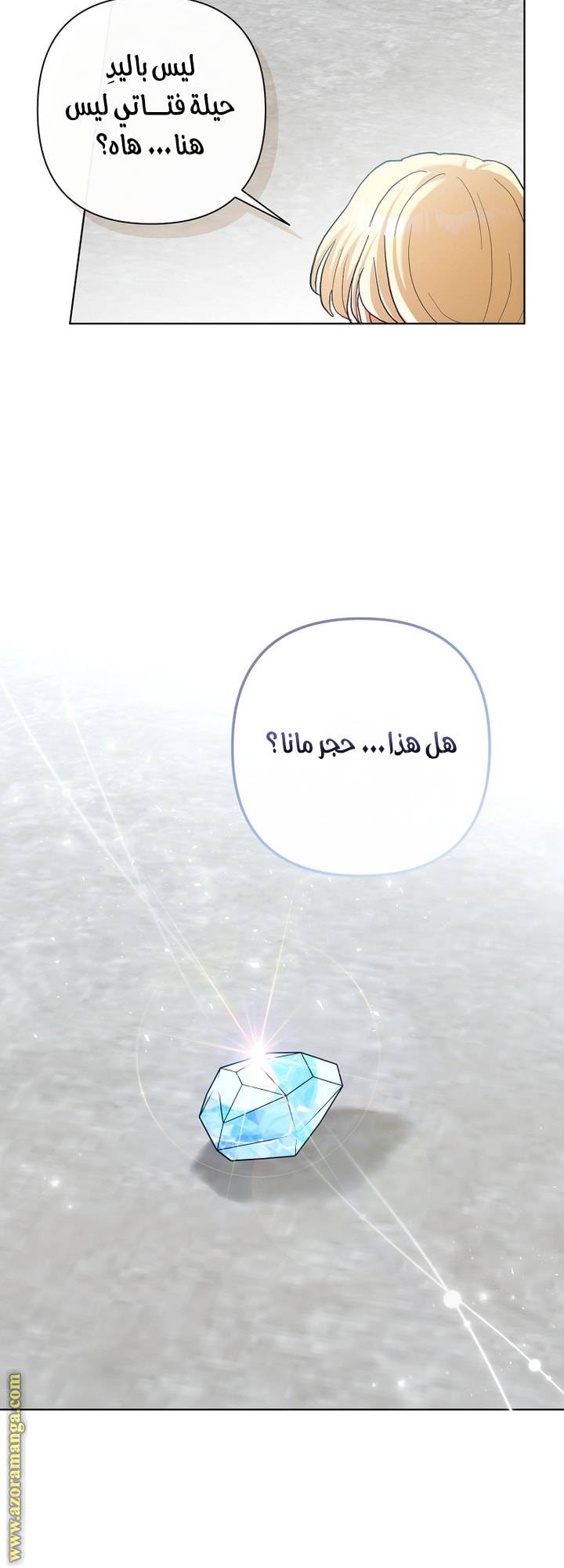 الصفحة 39