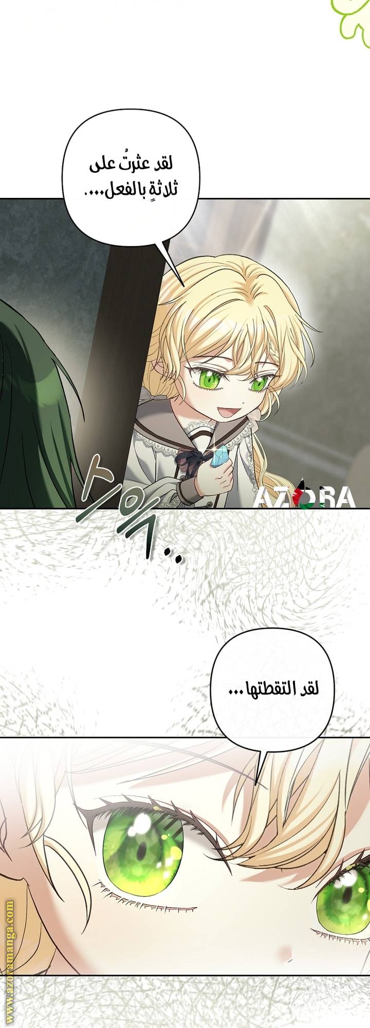 الصفحة 43