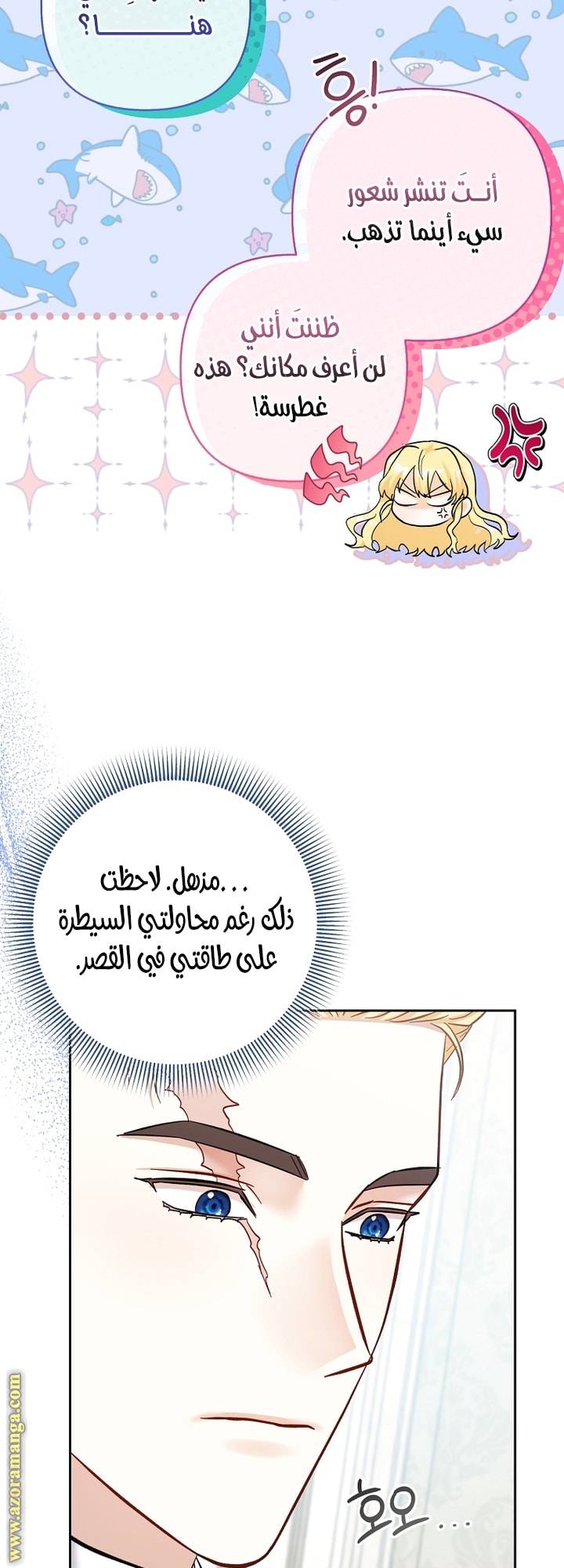 الصفحة 19