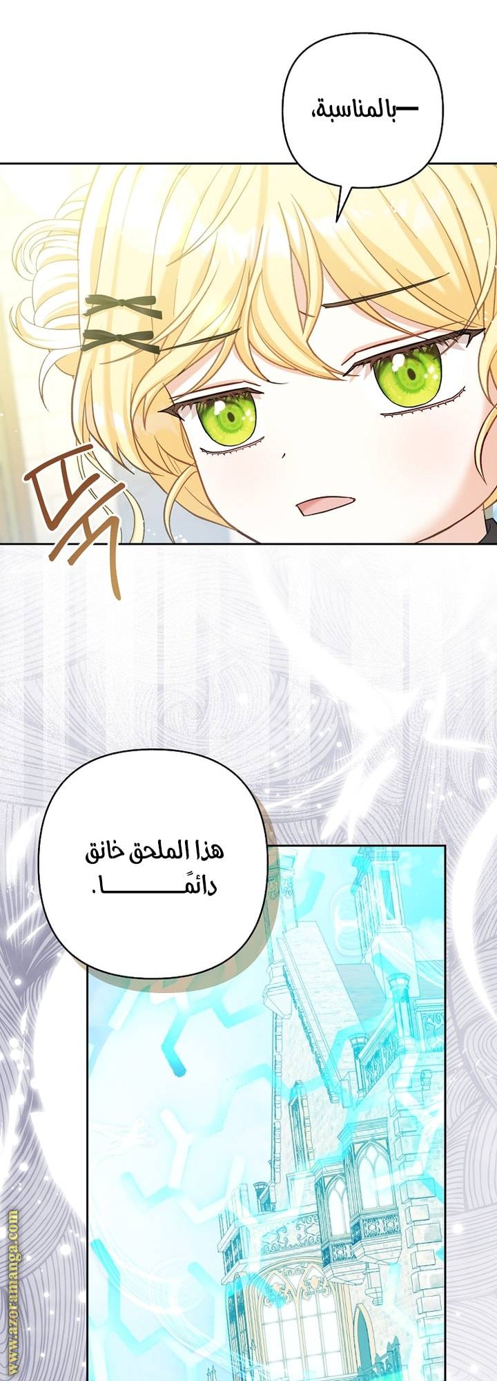 الصفحة 43