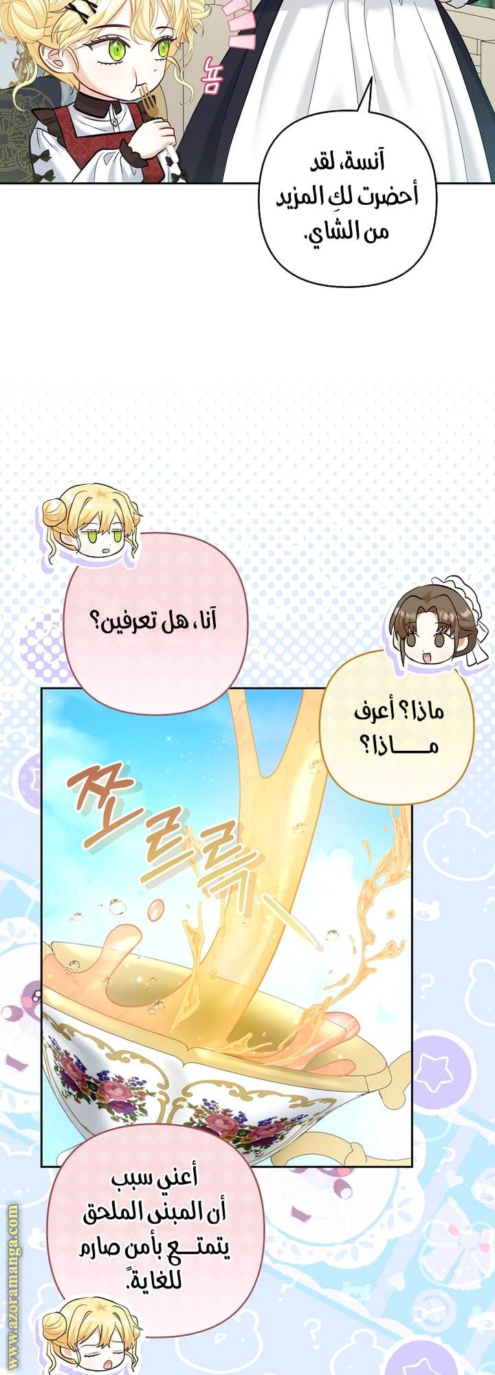 الصفحة 45