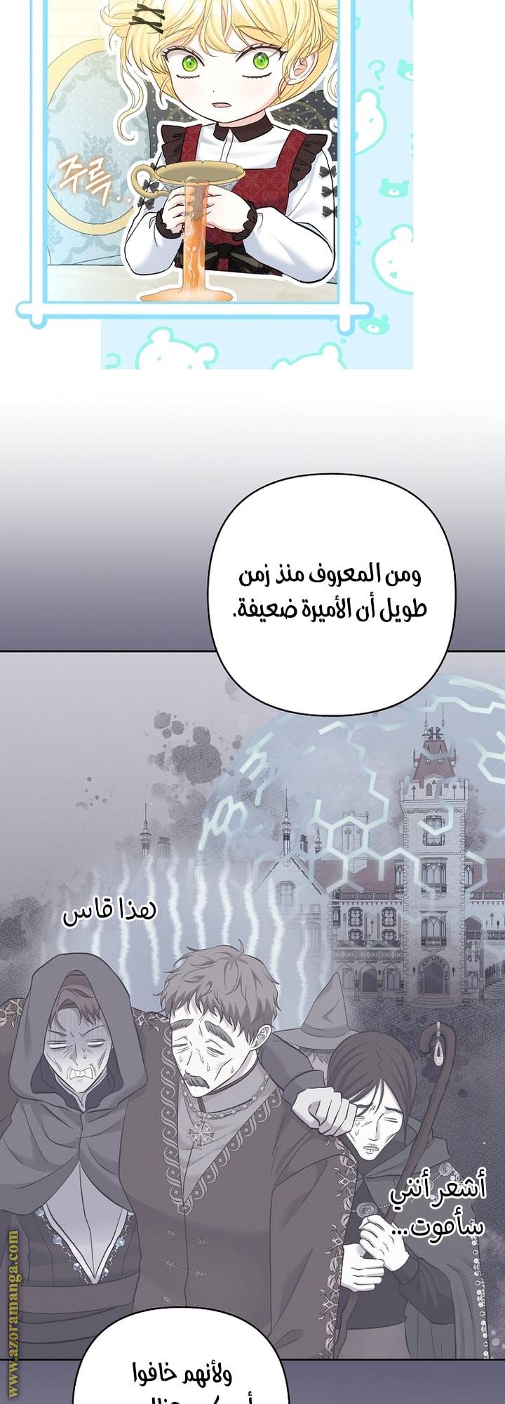 الصفحة 47