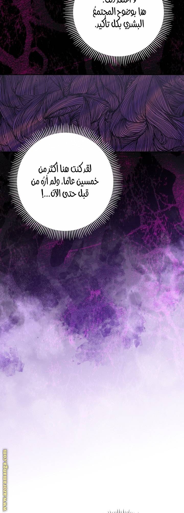 الصفحة 24