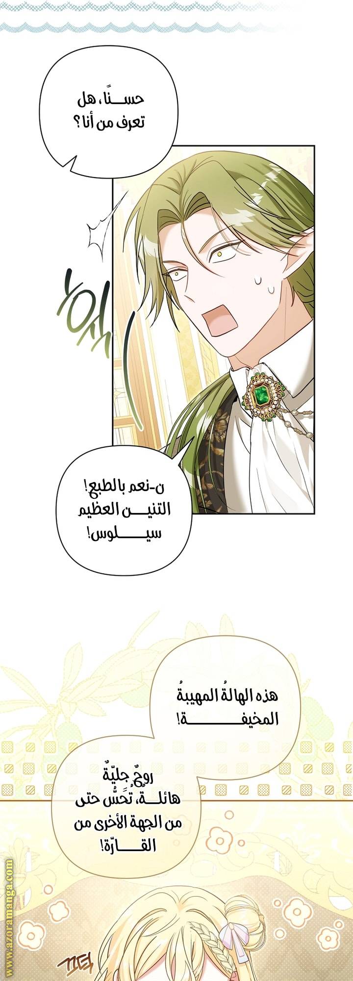 الصفحة 29