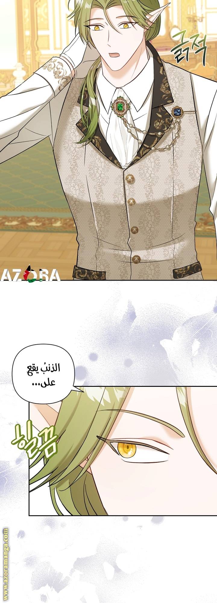 الصفحة 39