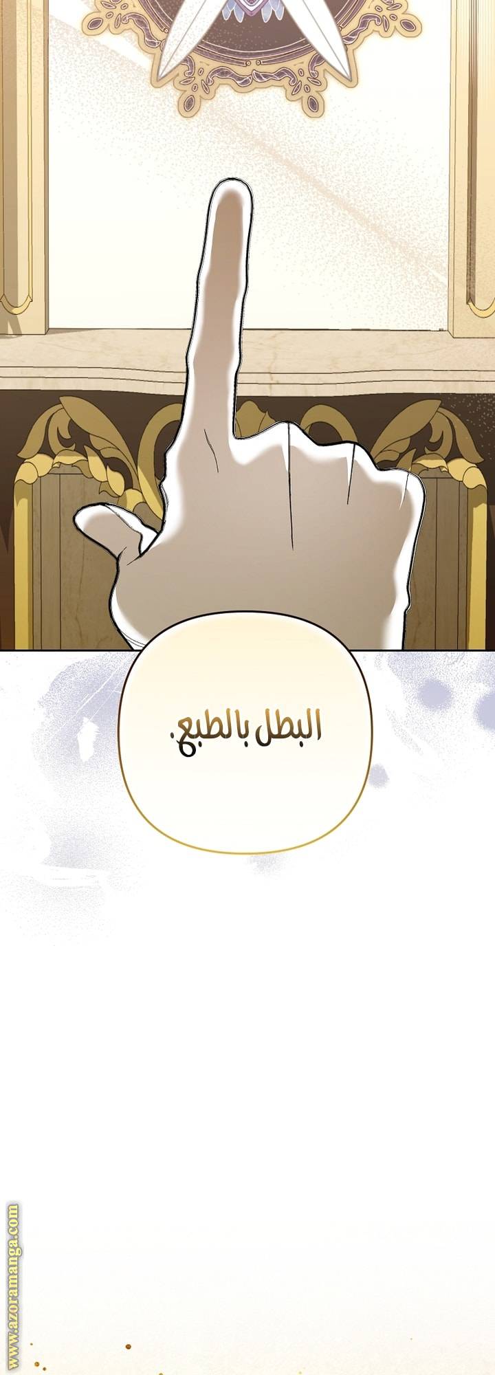 الصفحة 41
