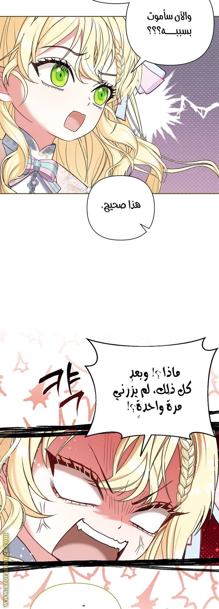 الصفحة 51