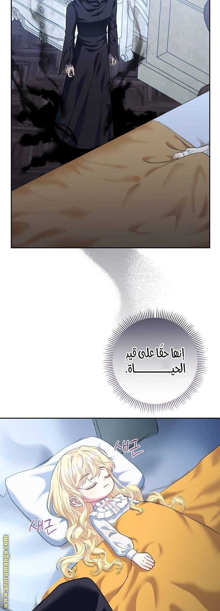 الصفحة 28