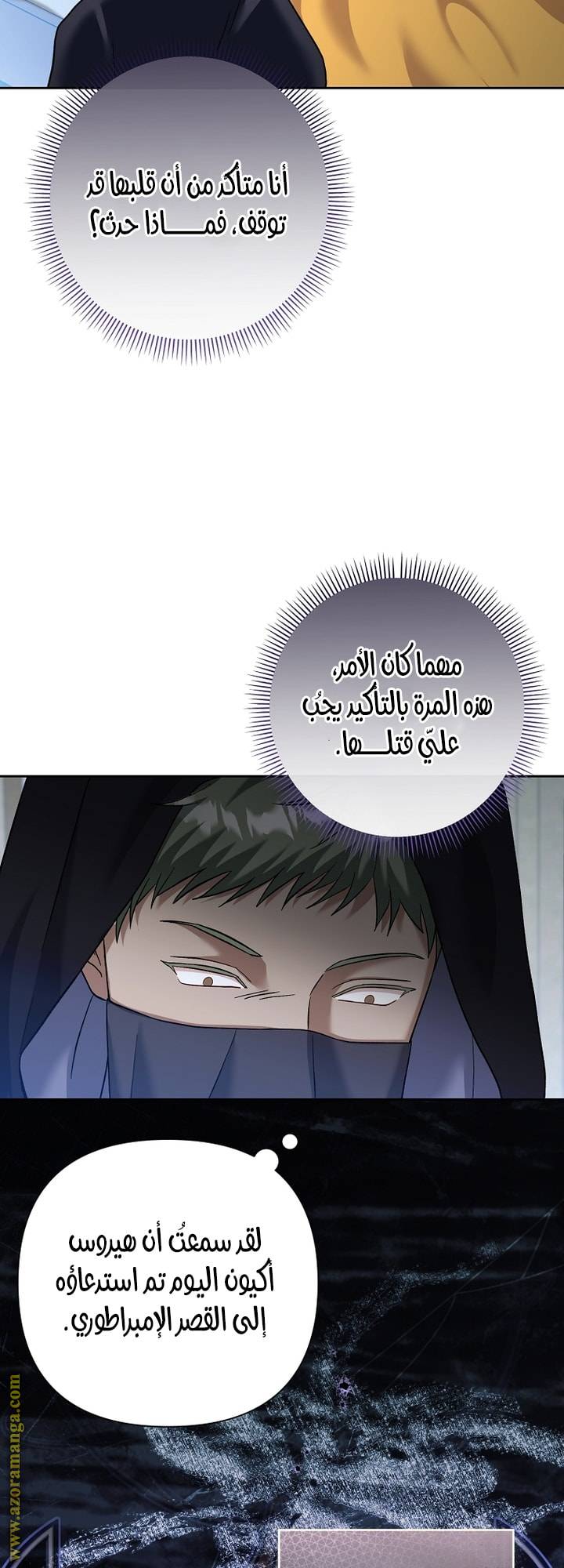 الصفحة 29