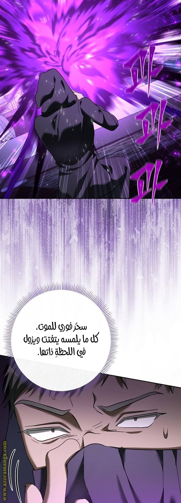 الصفحة 42