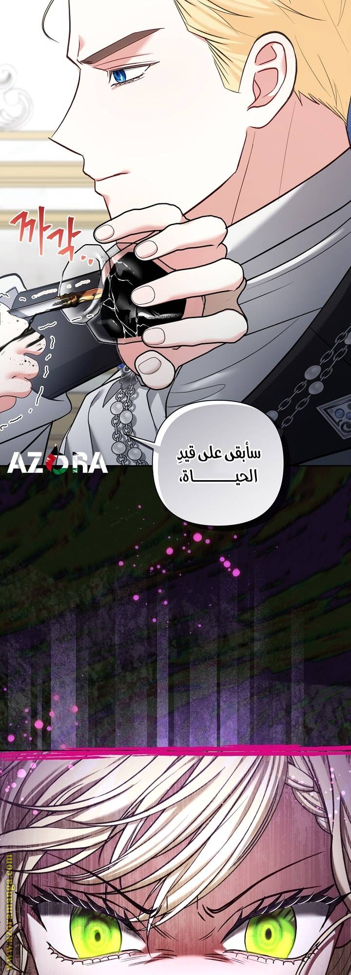 الصفحة 27
