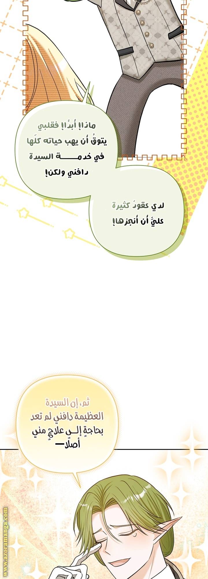 الصفحة 41