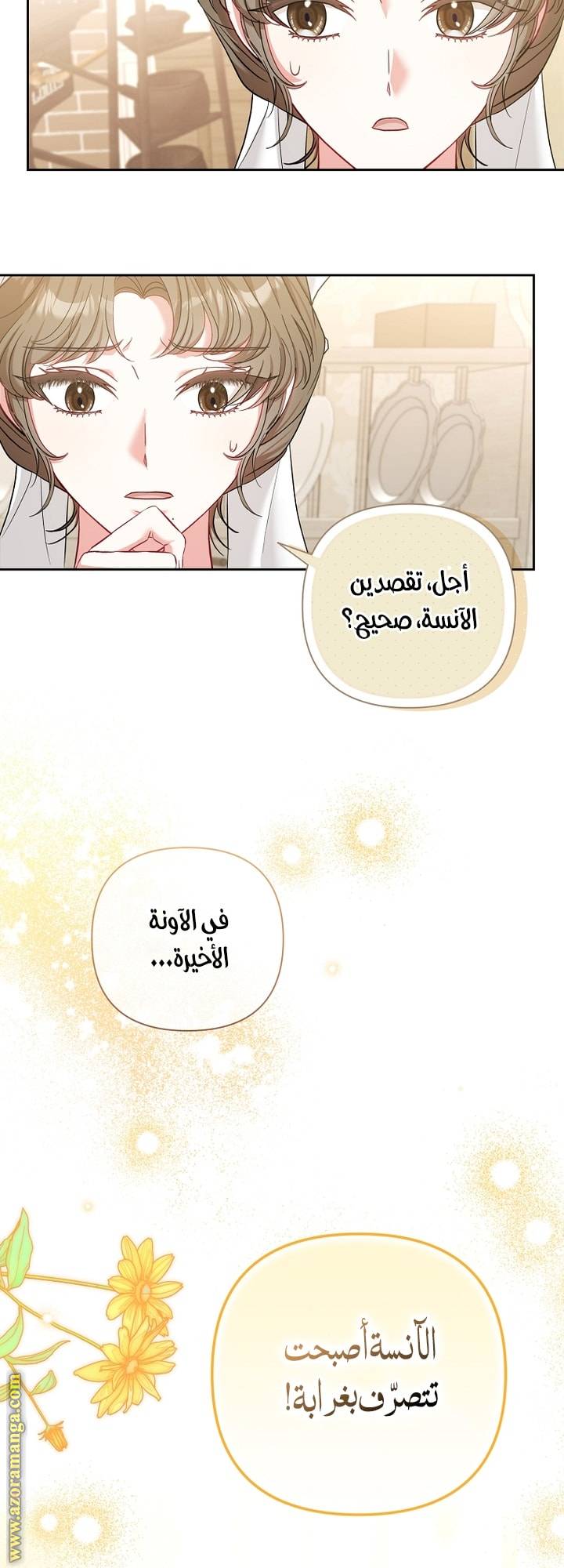 الصفحة 51