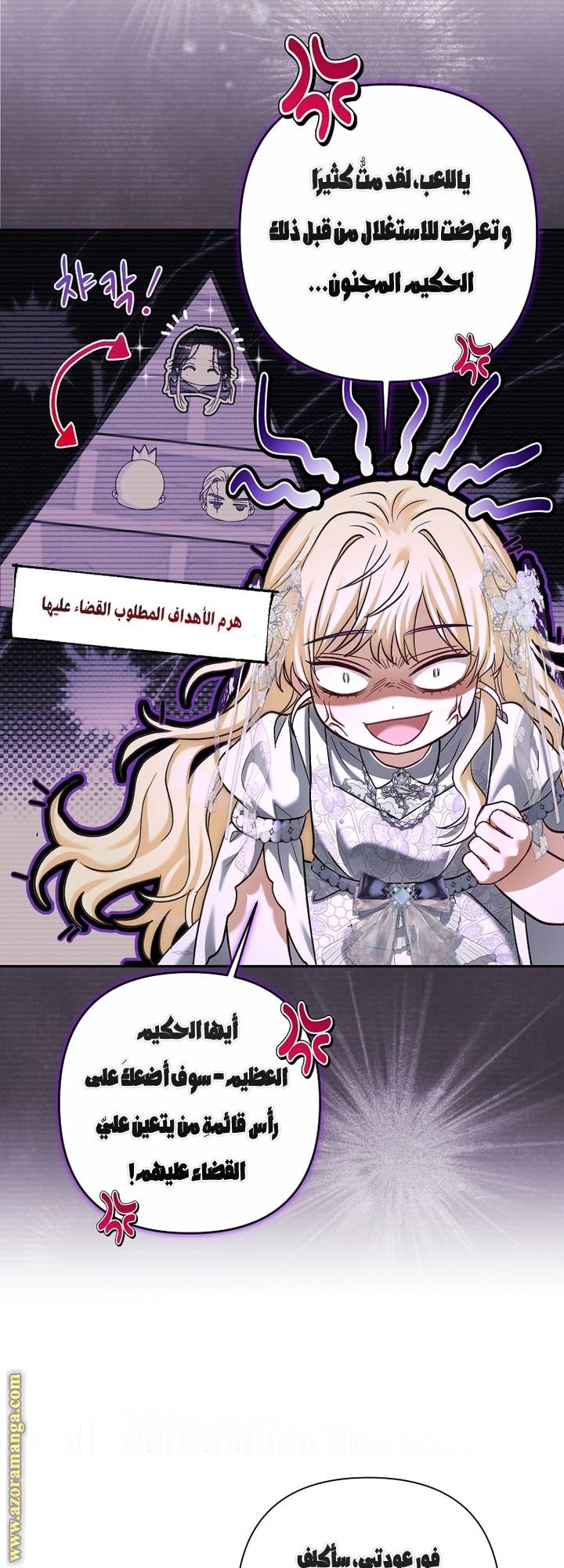 الصفحة 17