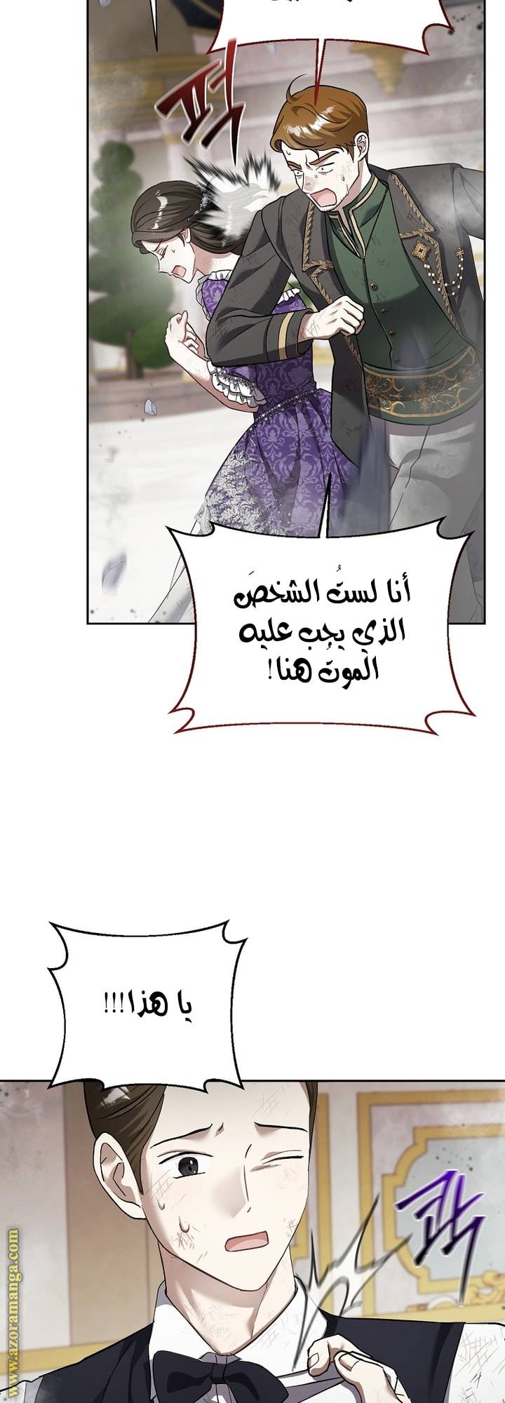 الصفحة 25