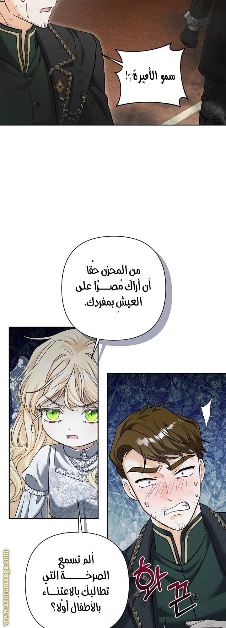 الصفحة 29