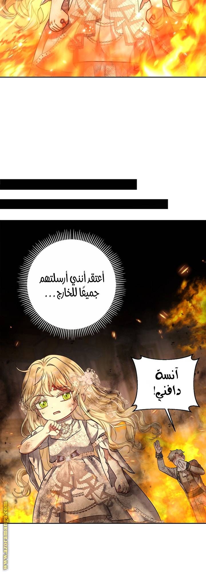 الصفحة 43