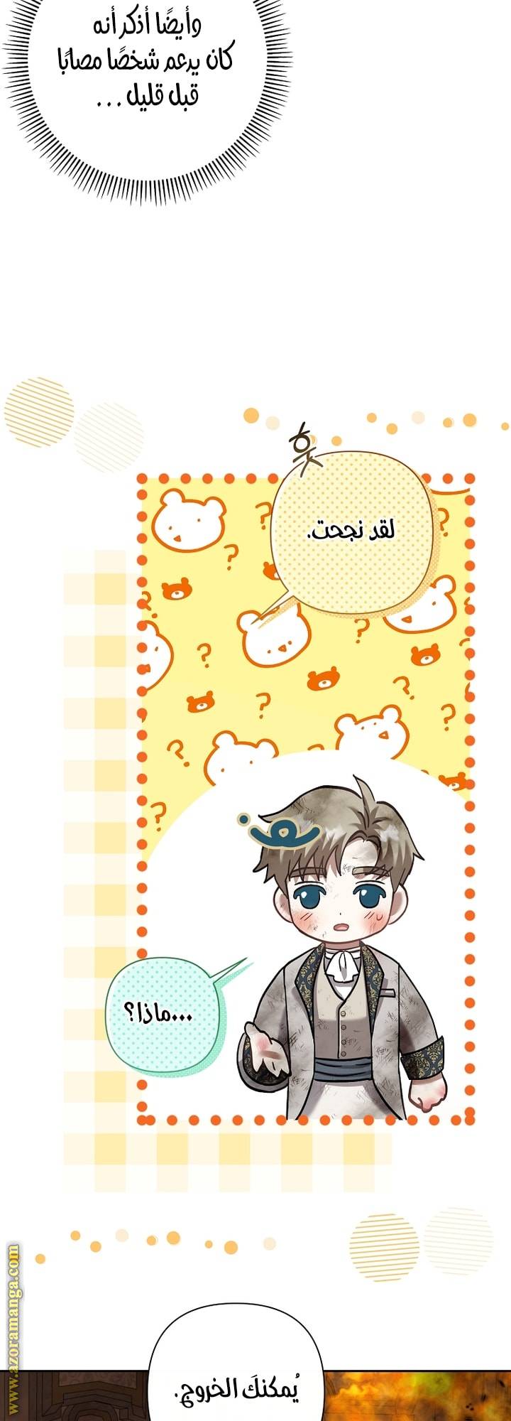 الصفحة 46